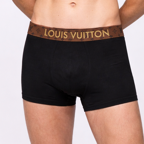 Louis Vuitton Erkek Boxer – 3'lü Premium Seri